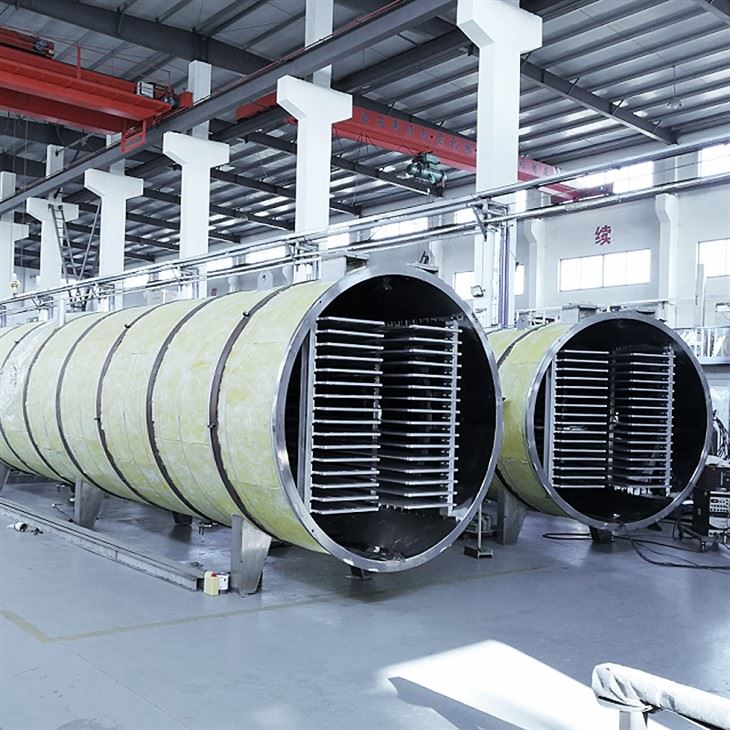 Nhà cung cấp máy sấy đông lạnh thực phẩm tùy chỉnh